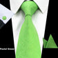 Suitbae Pastel Green Solid Tie